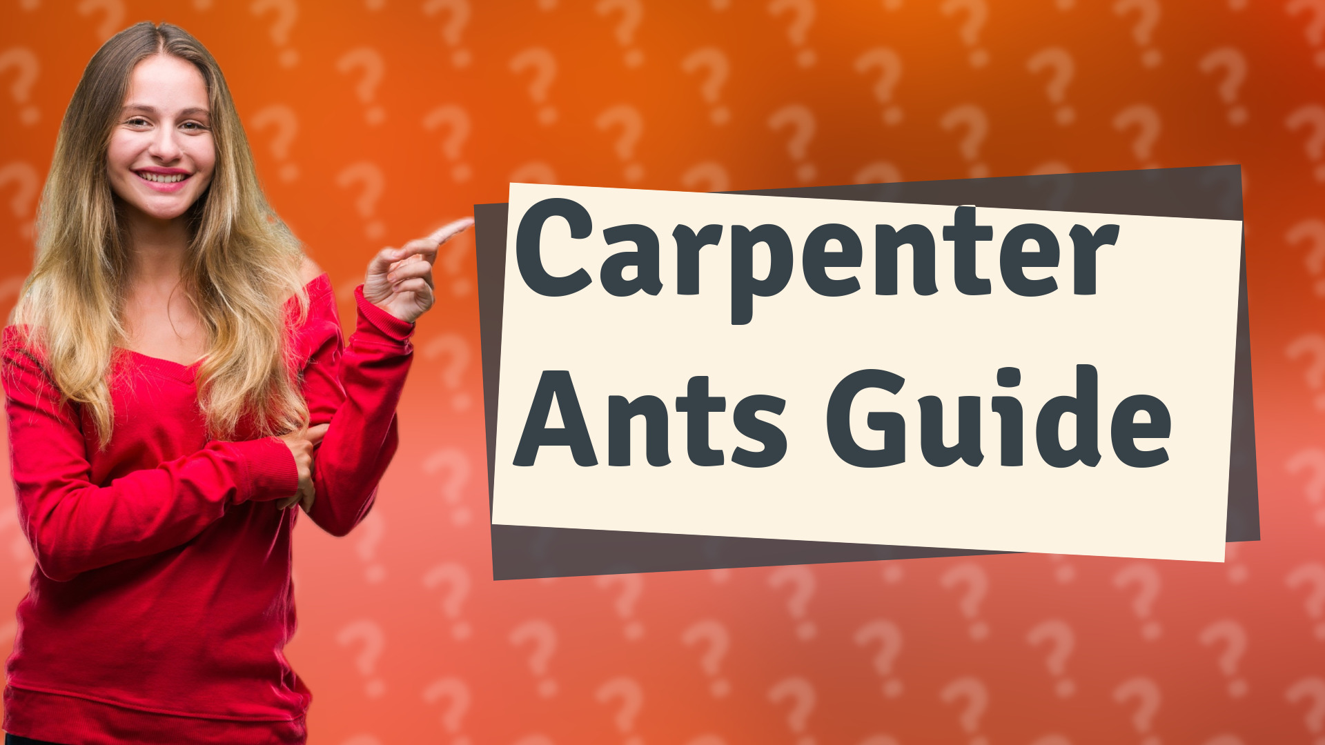 Carpenter Ants Guide