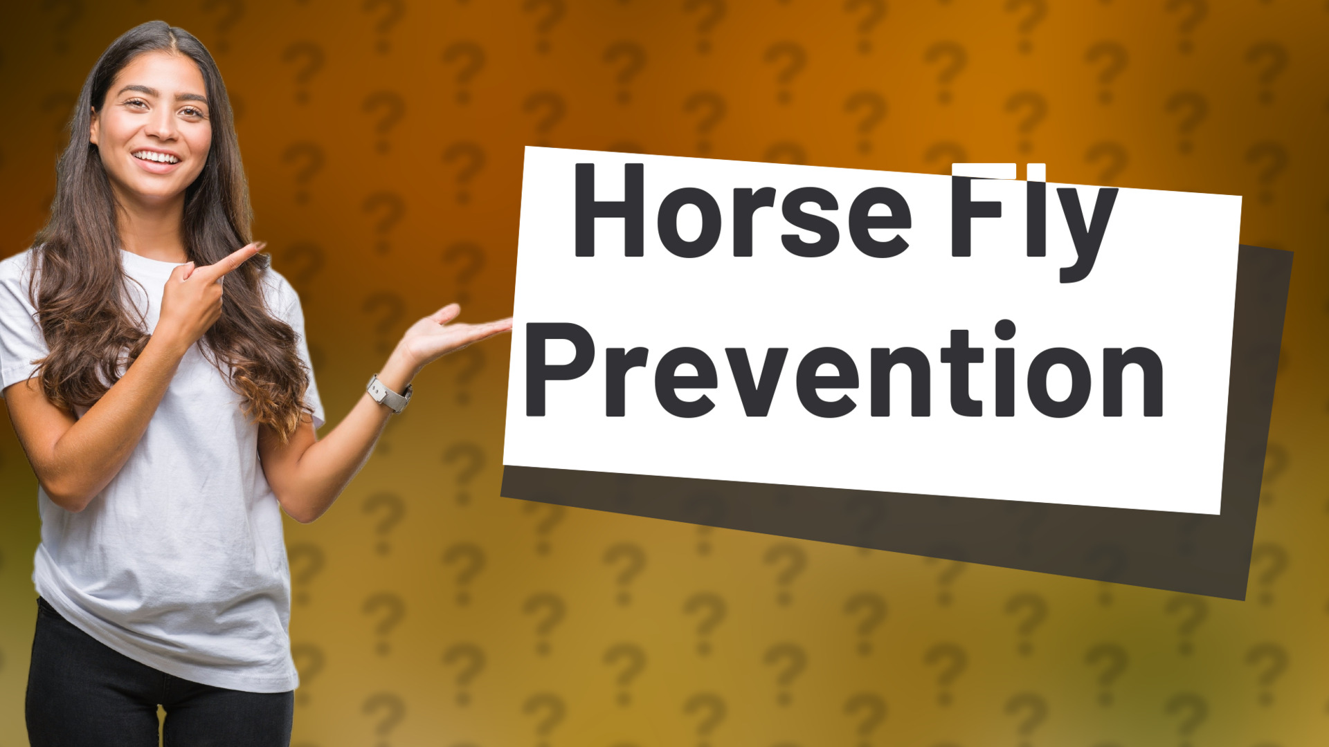 Horse Fly Prevention