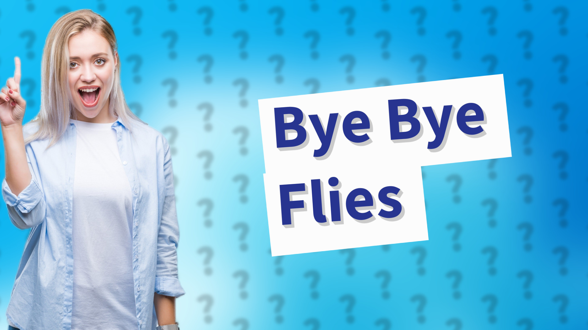 Bye Bye Flies