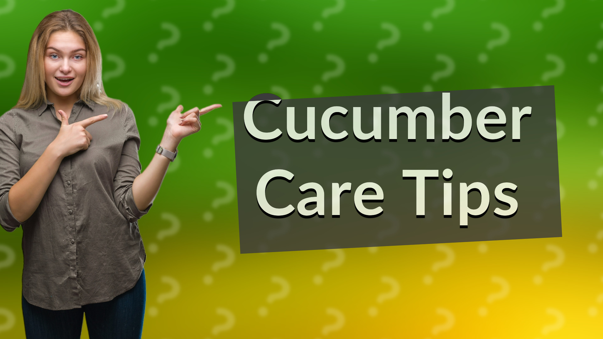 Cucumber Care Tips