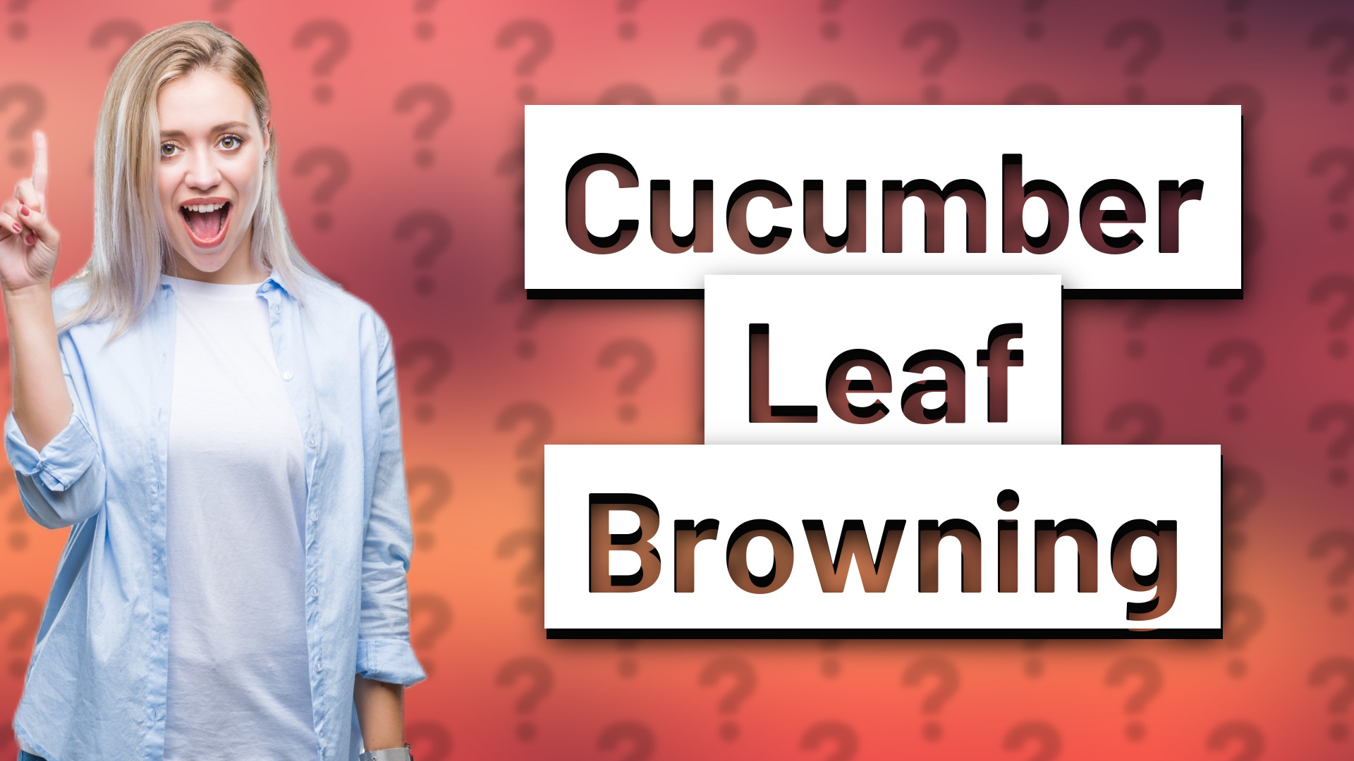 Cucumber Leaf Browning