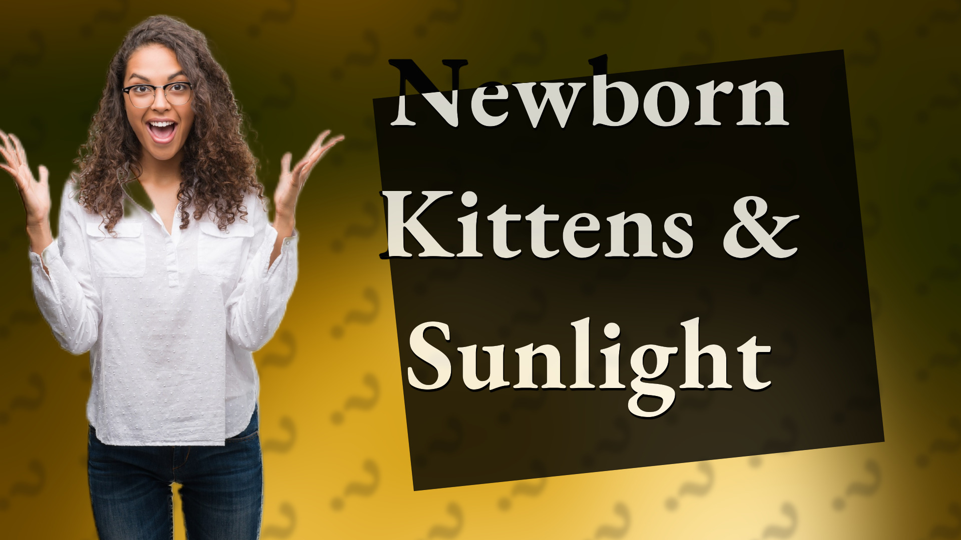 Newborn Kittens & Sunlight
