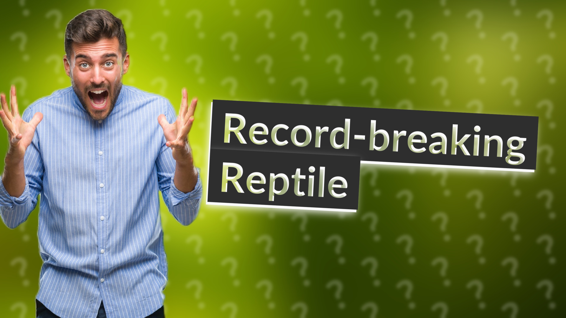 Record-breaking Reptile