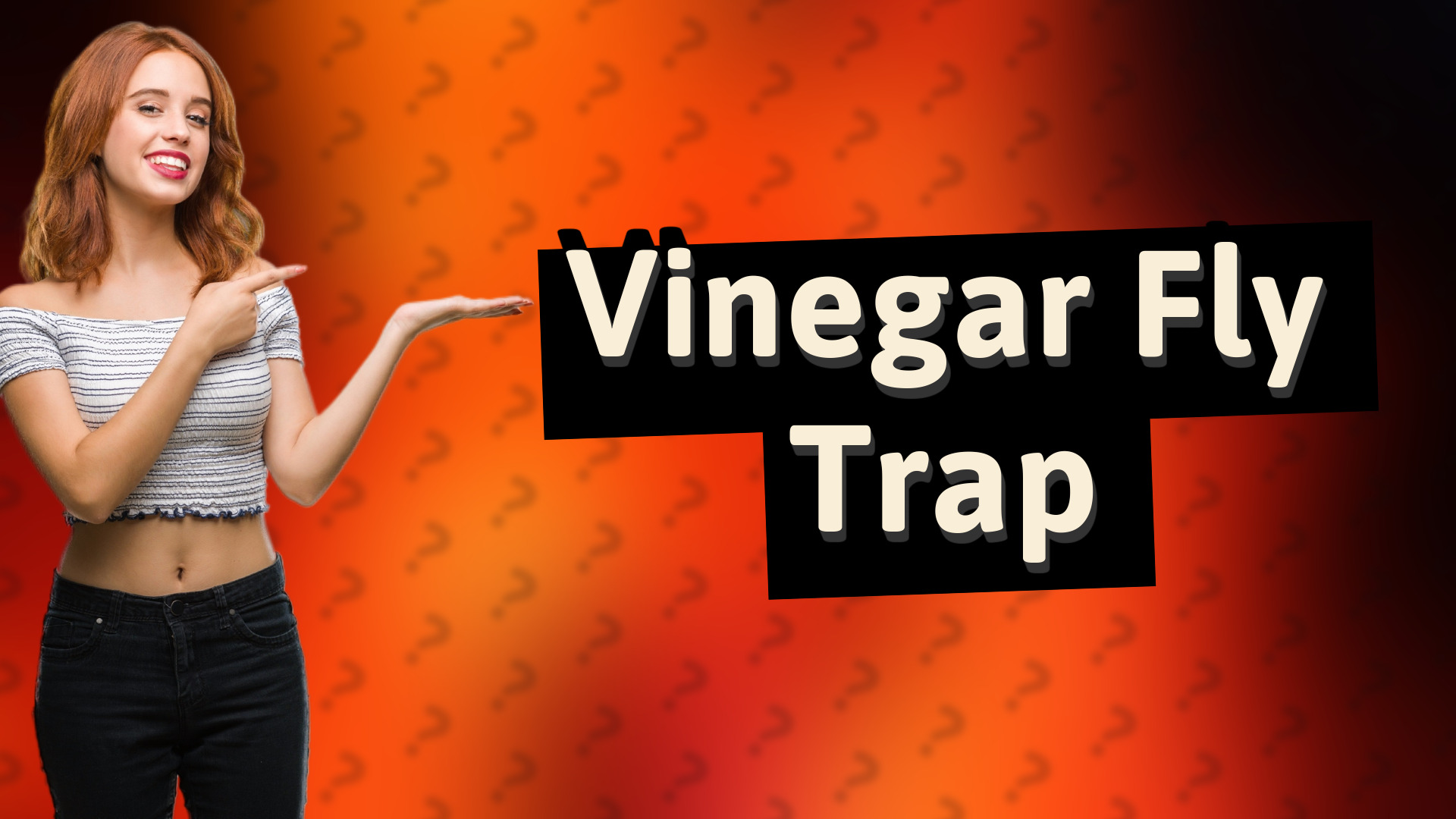 Vinegar Fly Trap