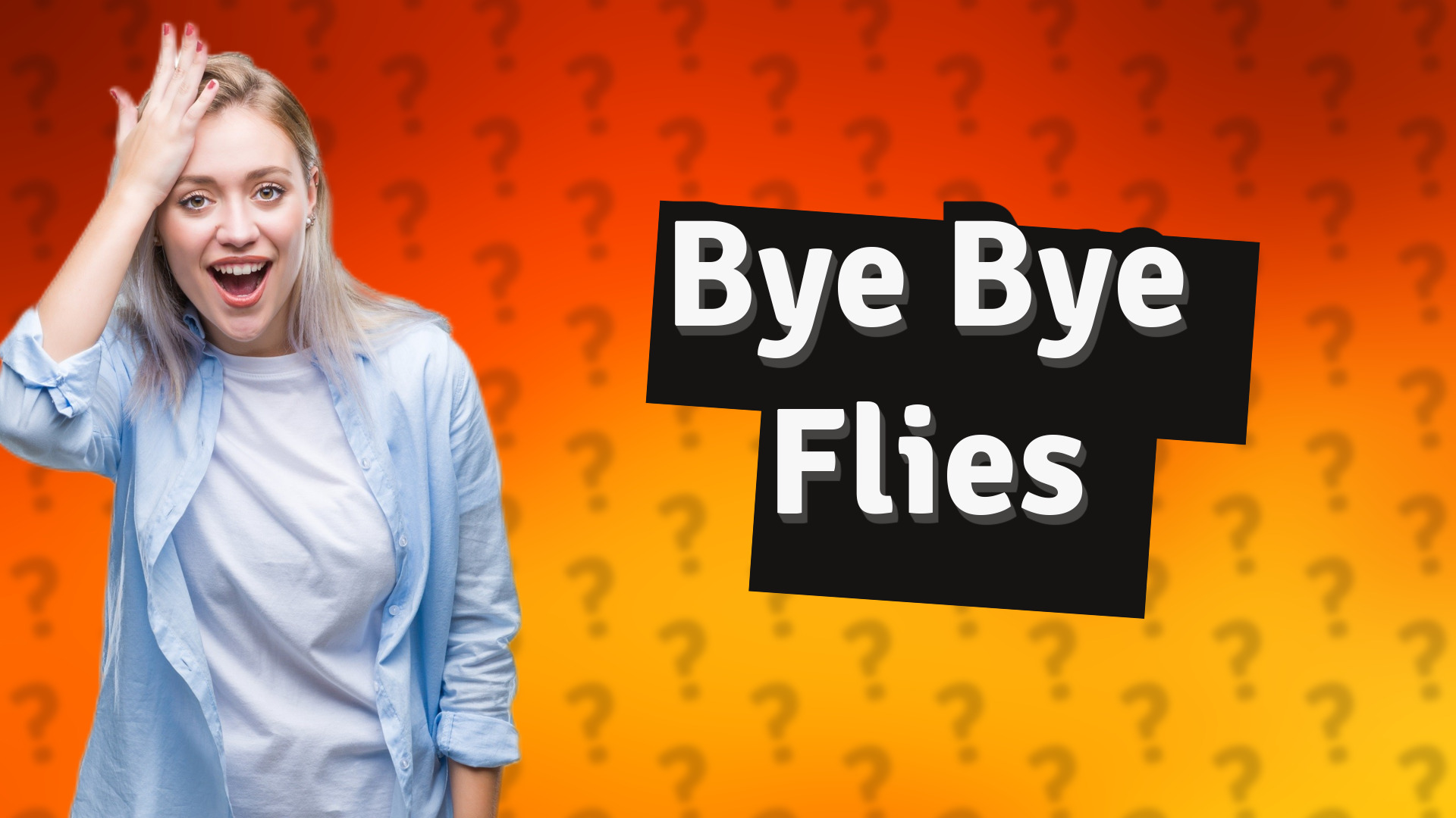 Bye Bye Flies