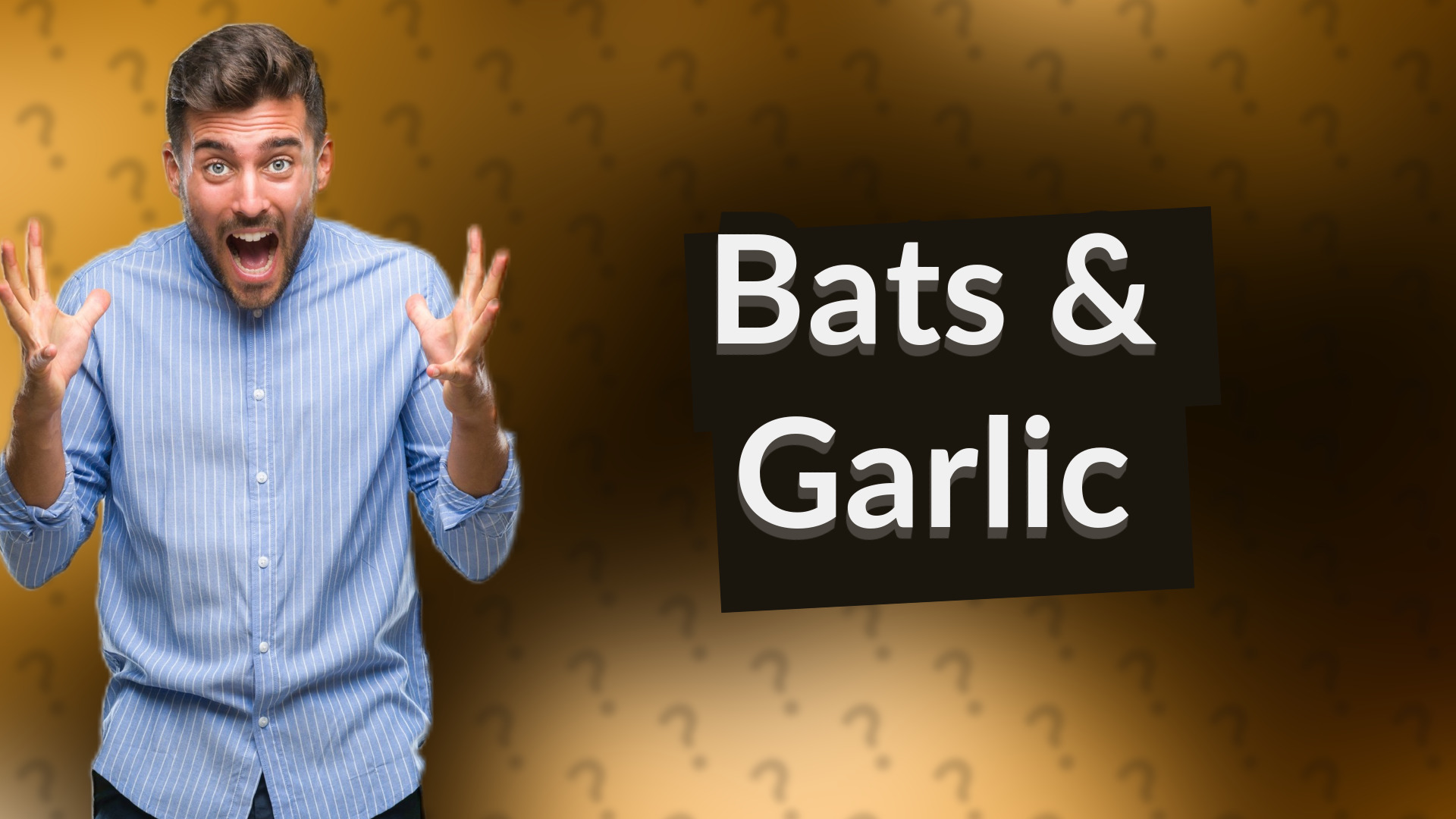 Bats & Garlic
