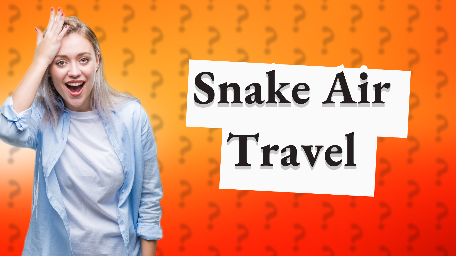 Snake Air Travel