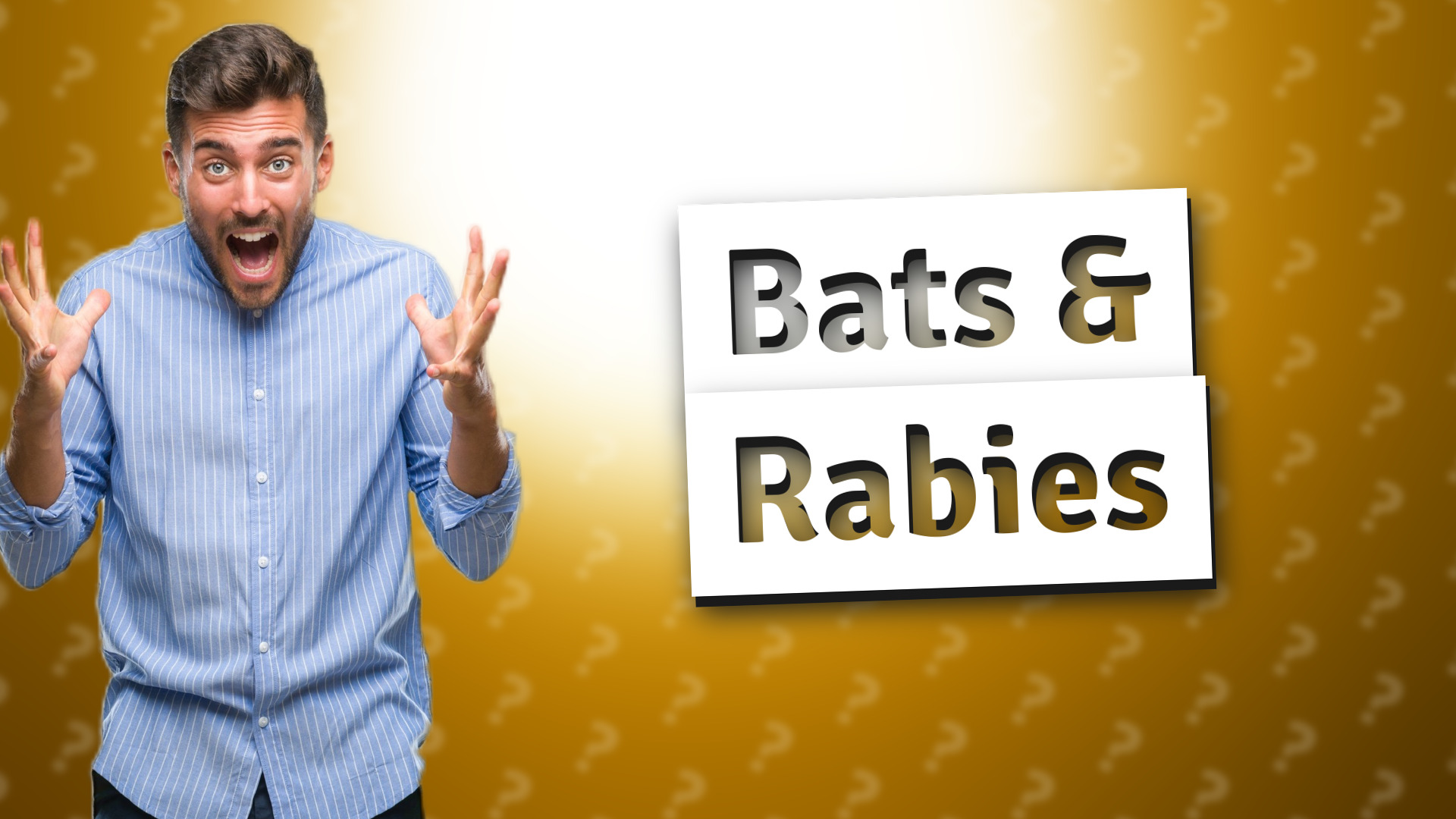 Bats & Rabies