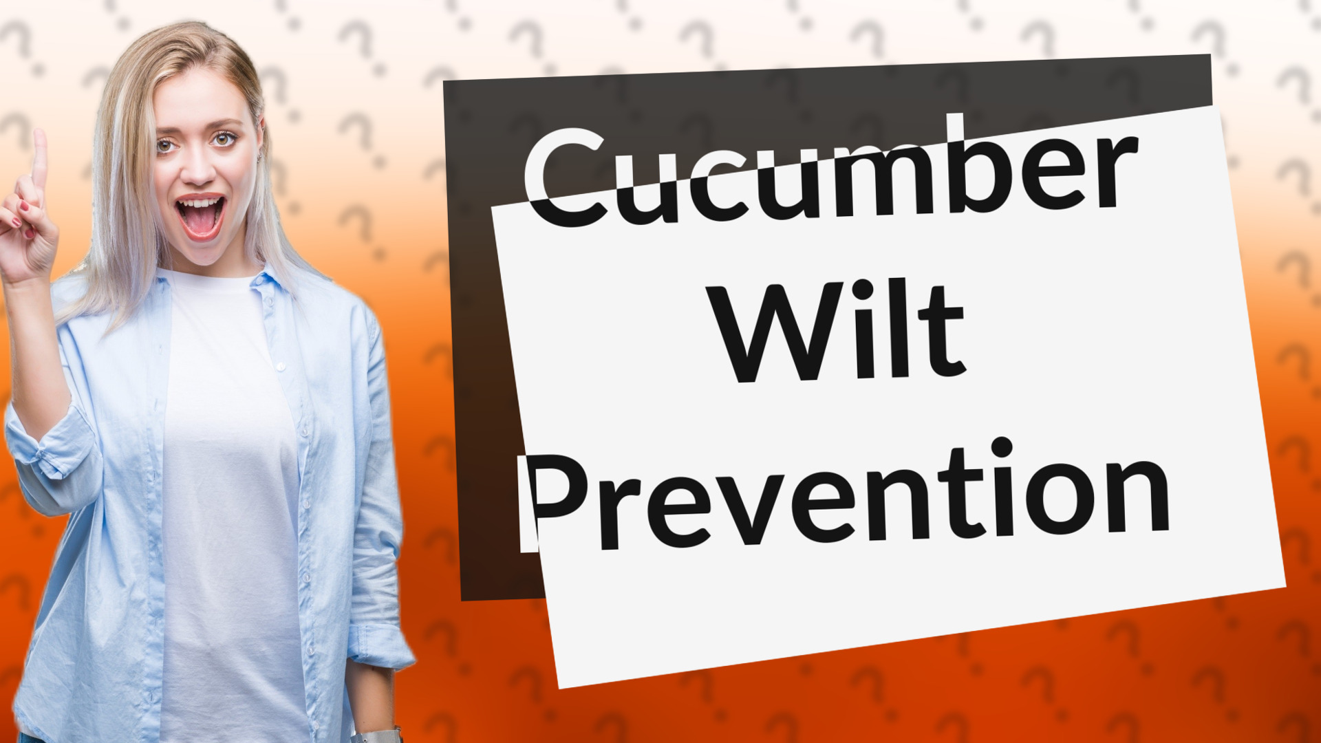 Cucumber Wilt Prevention