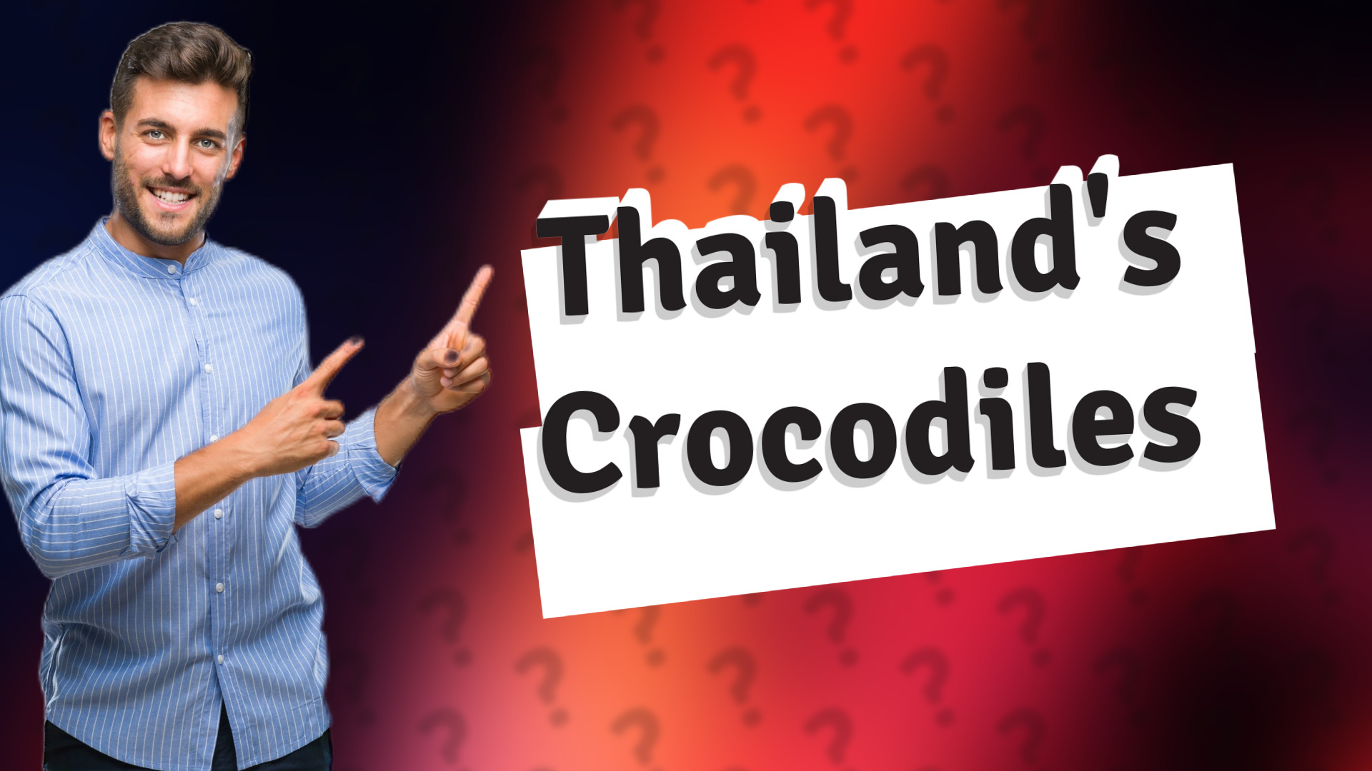 Thailand's Crocodiles