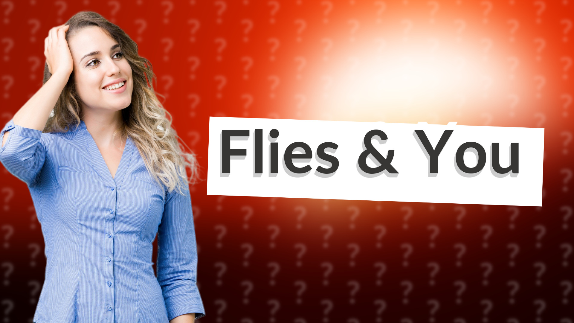 Flies & You