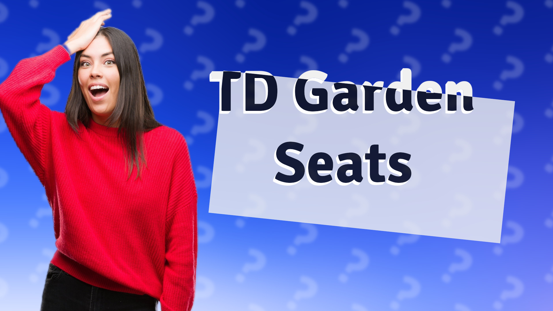 TD Garden Seats