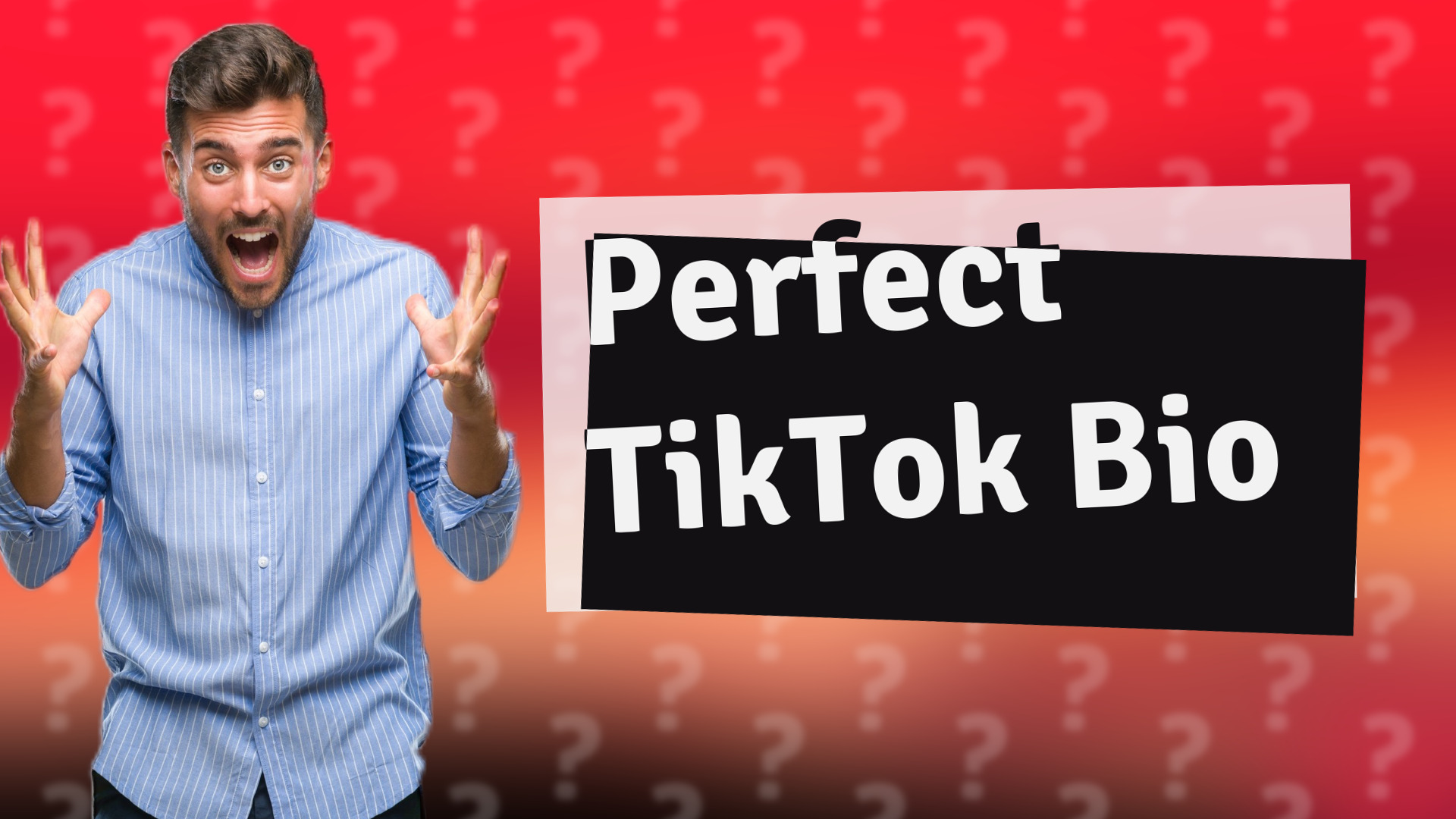 Perfect TikTok Bio
