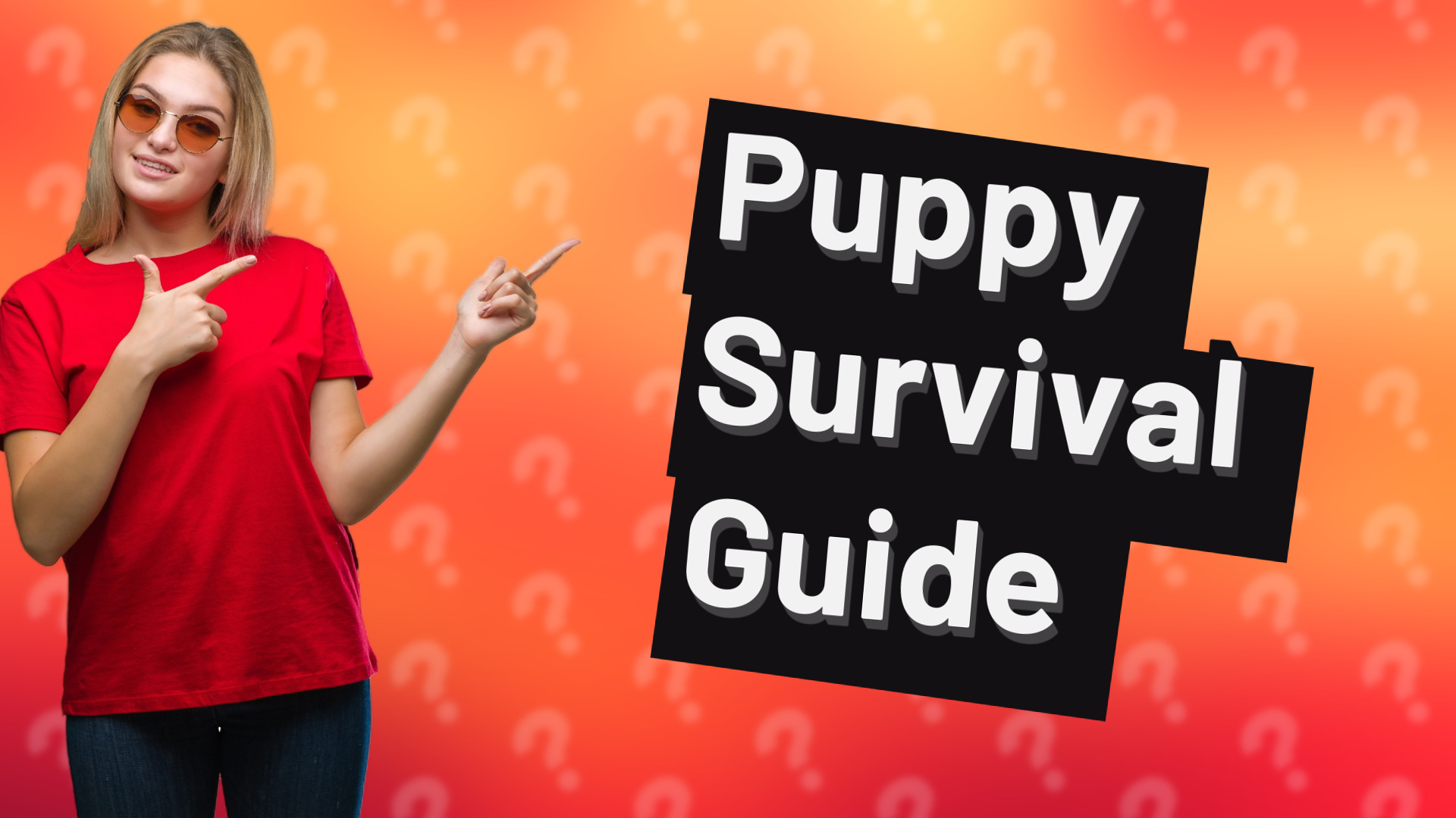 Puppy Survival Guide