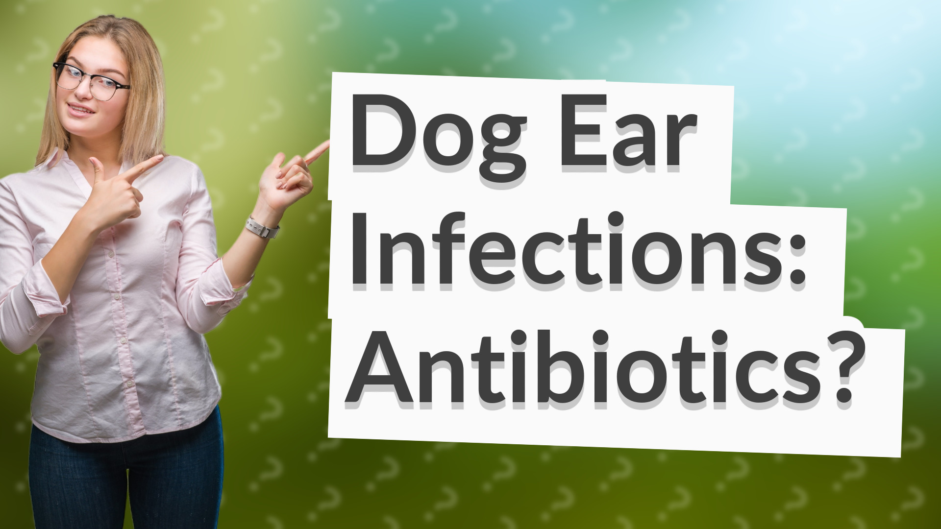 Dog Ear Infections: Antibiotics?
