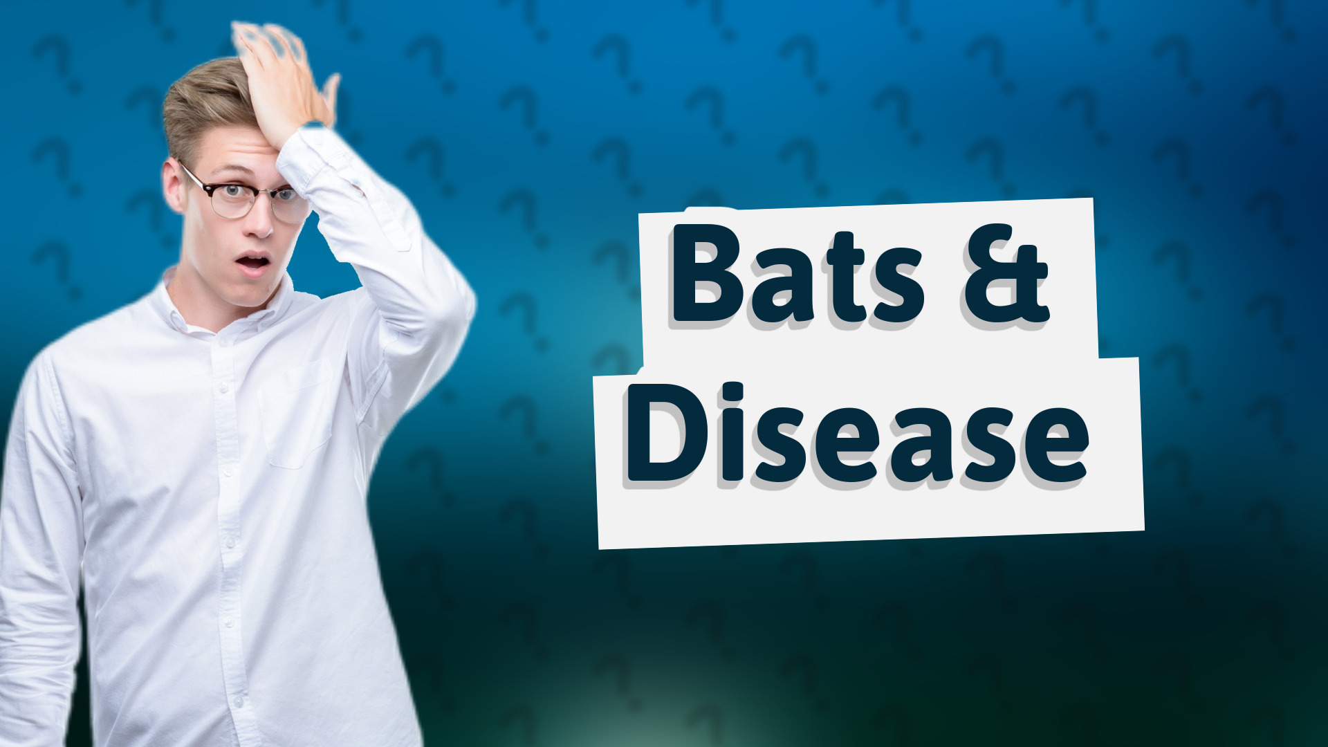Bats & Disease