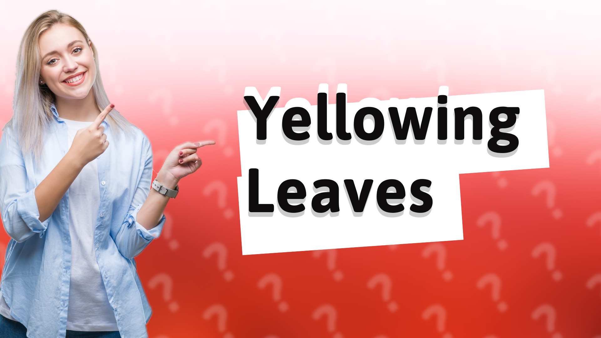 Yellowing Leaves