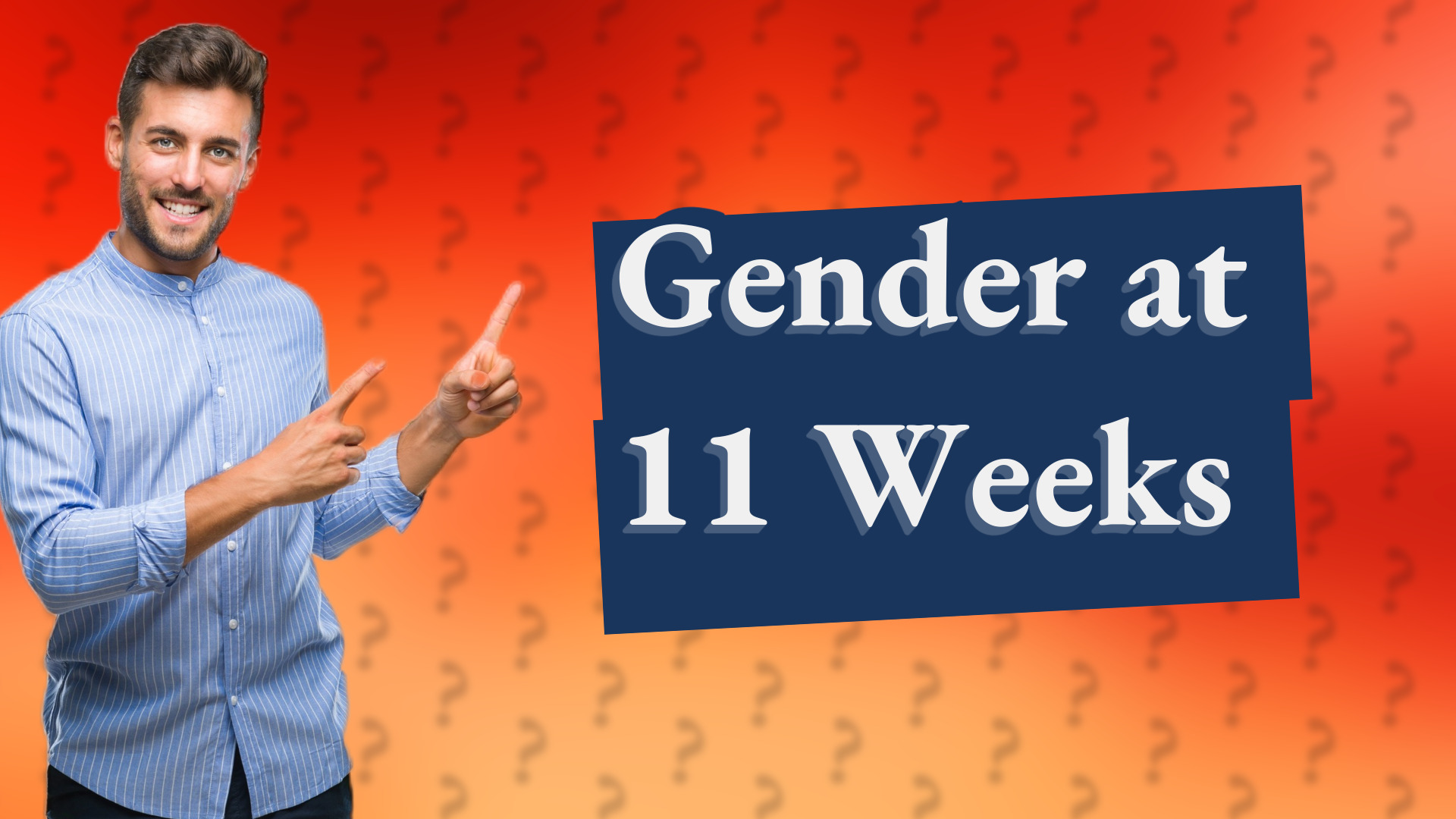 Gender at 11 Weeks