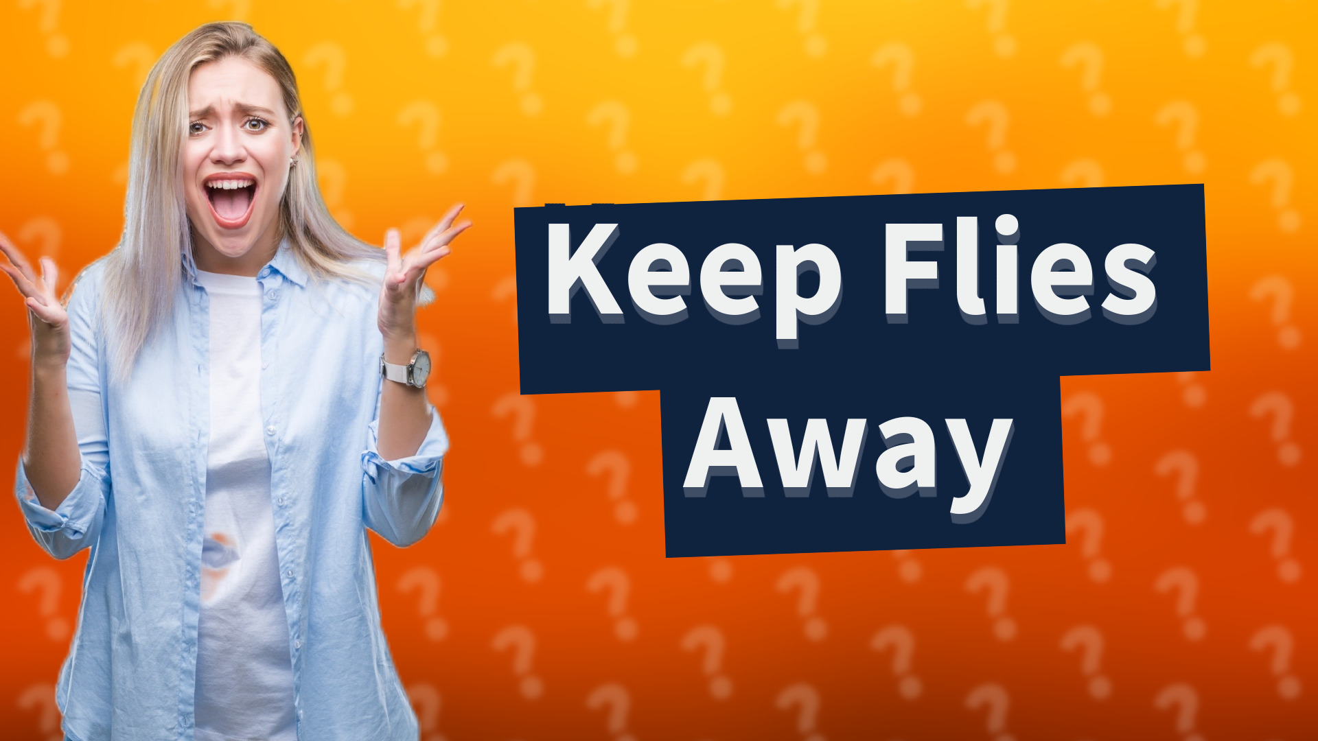Keep Flies Away