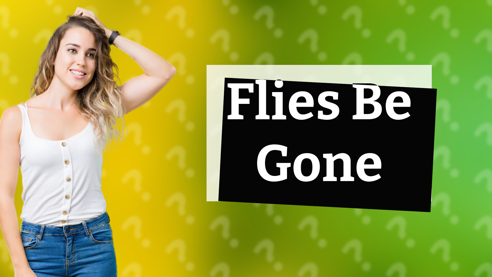 Flies Be Gone