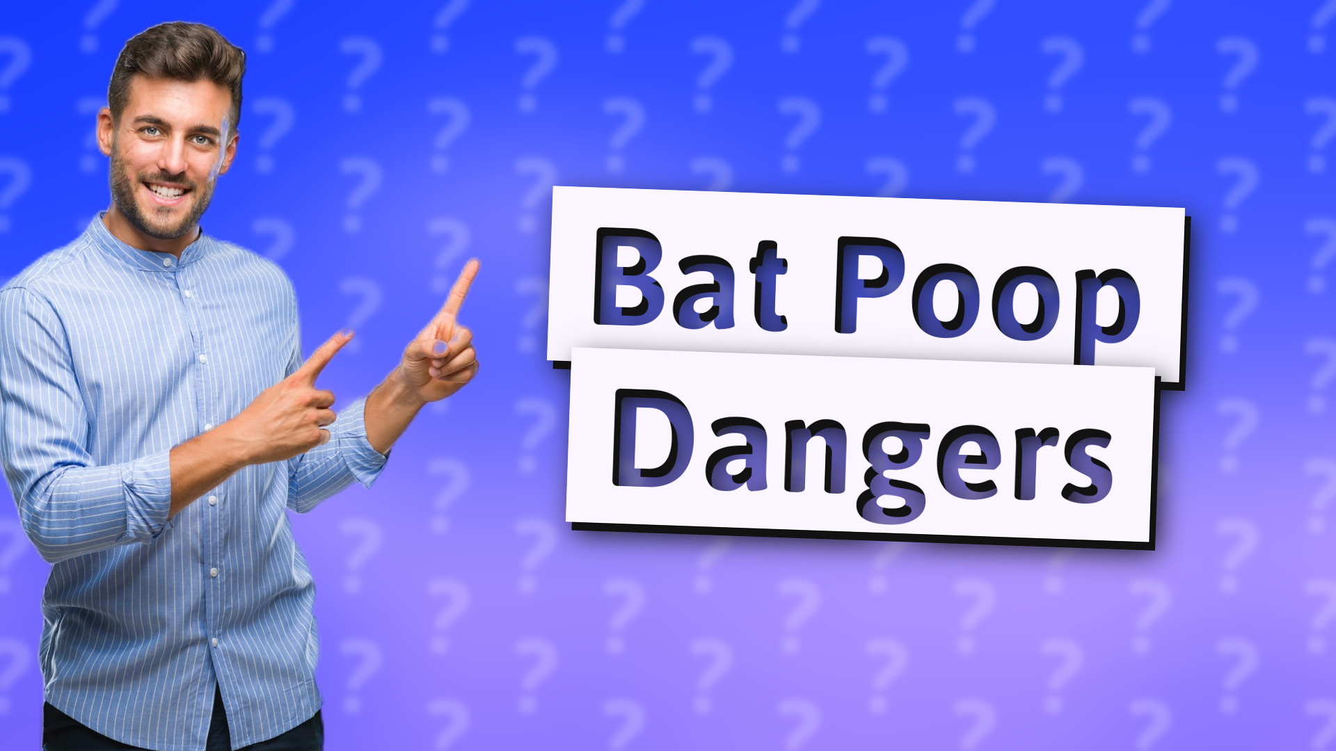 Bat Poop Dangers