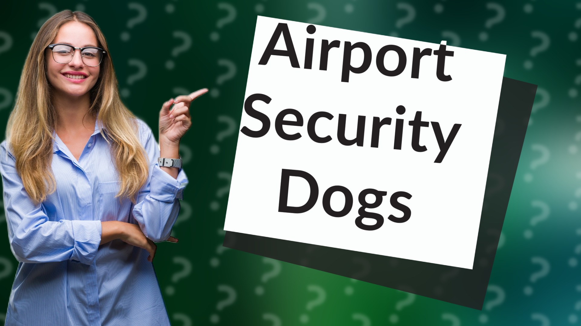 Airport Security Dogs