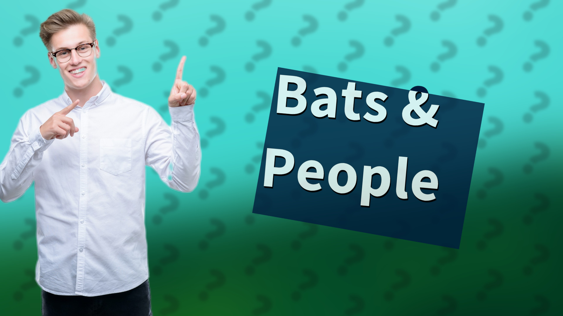 Bats & People