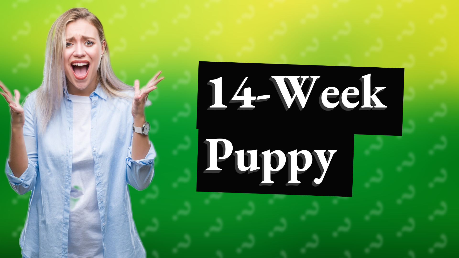 14-Week Puppy