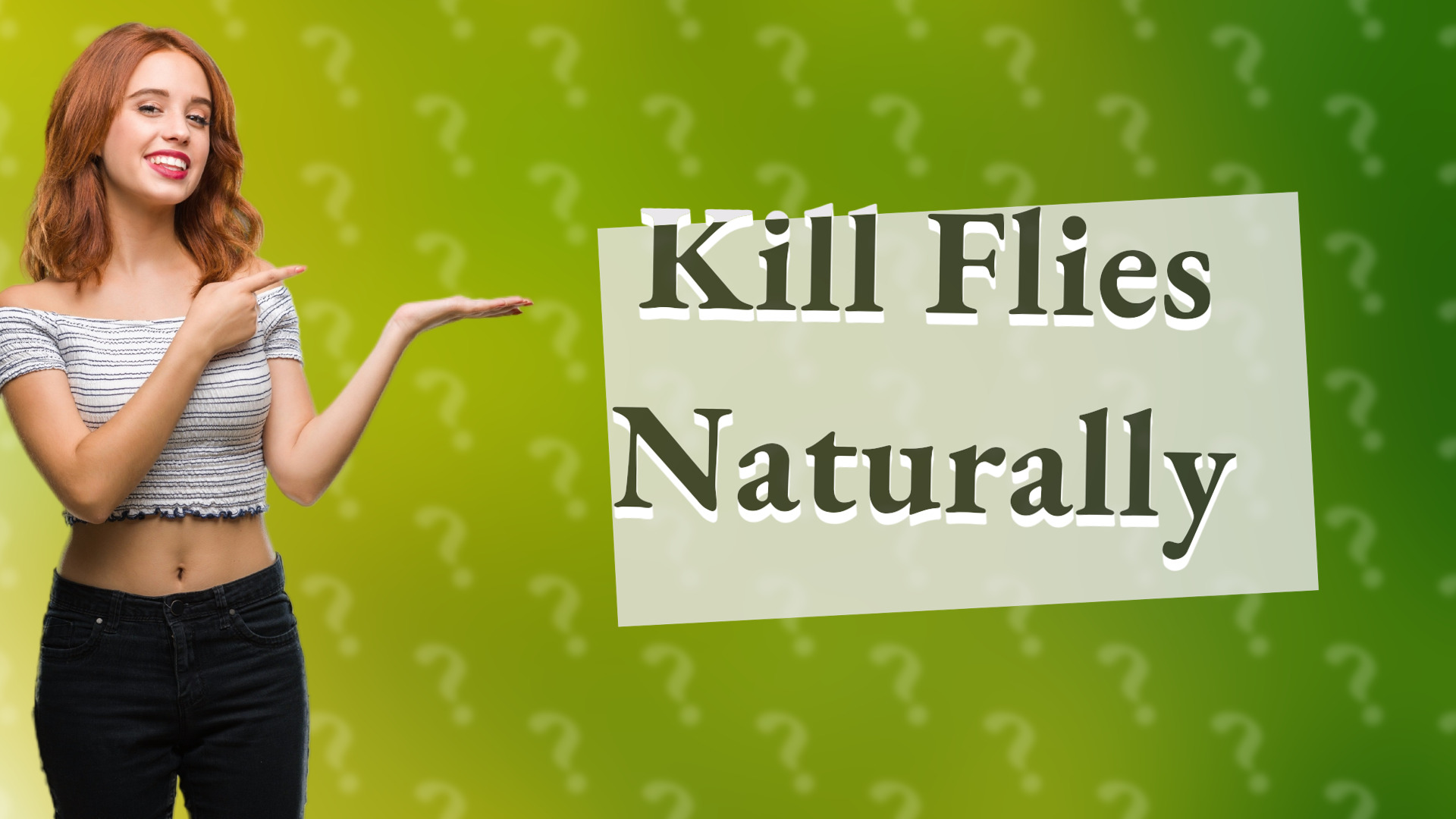Kill Flies Naturally
