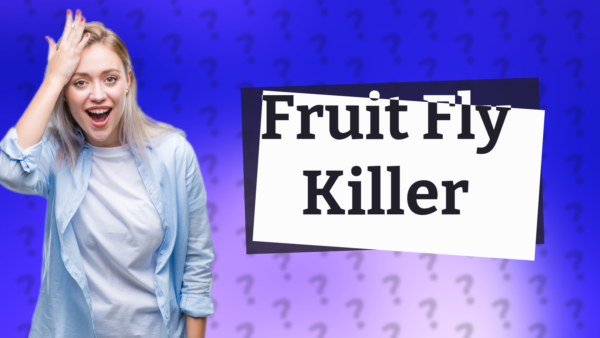 Fruit Fly Killer