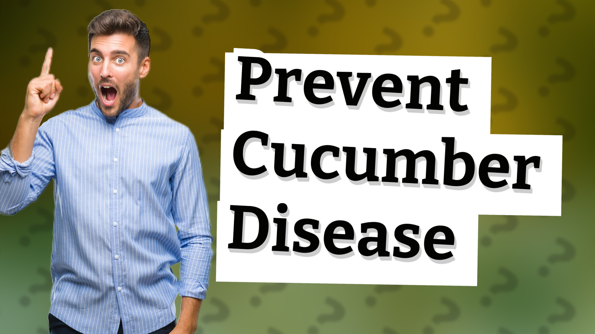 Prevent Cucumber Disease