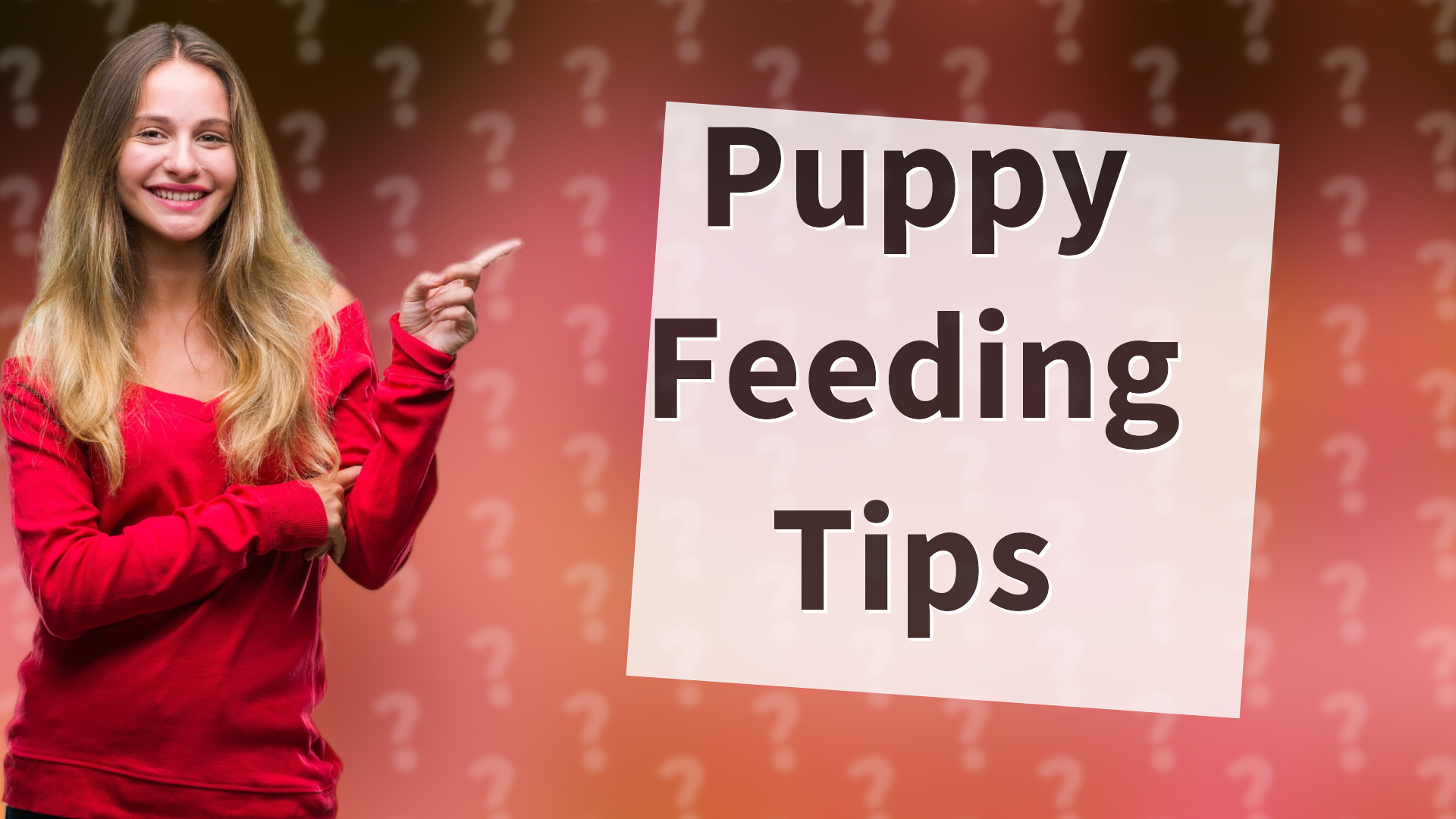 Puppy Feeding Tips