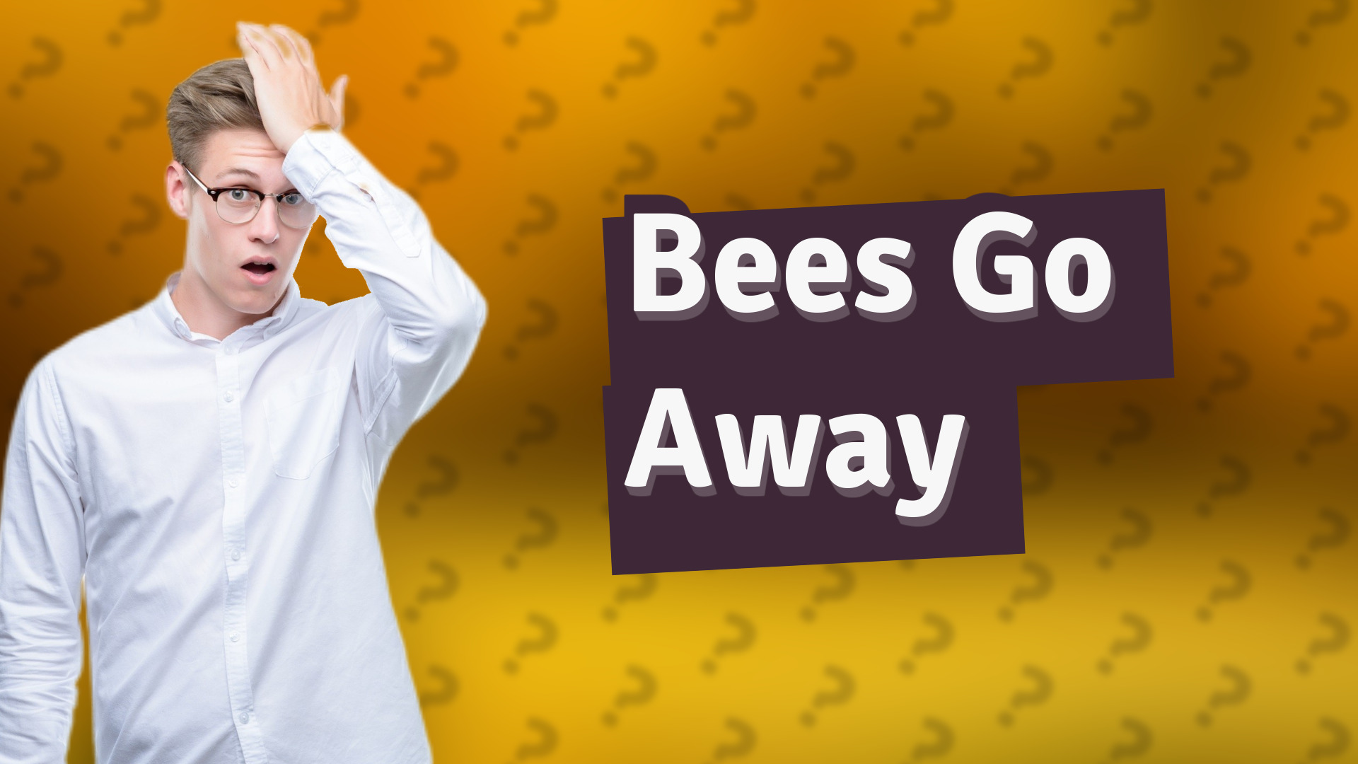 Bees Go Away