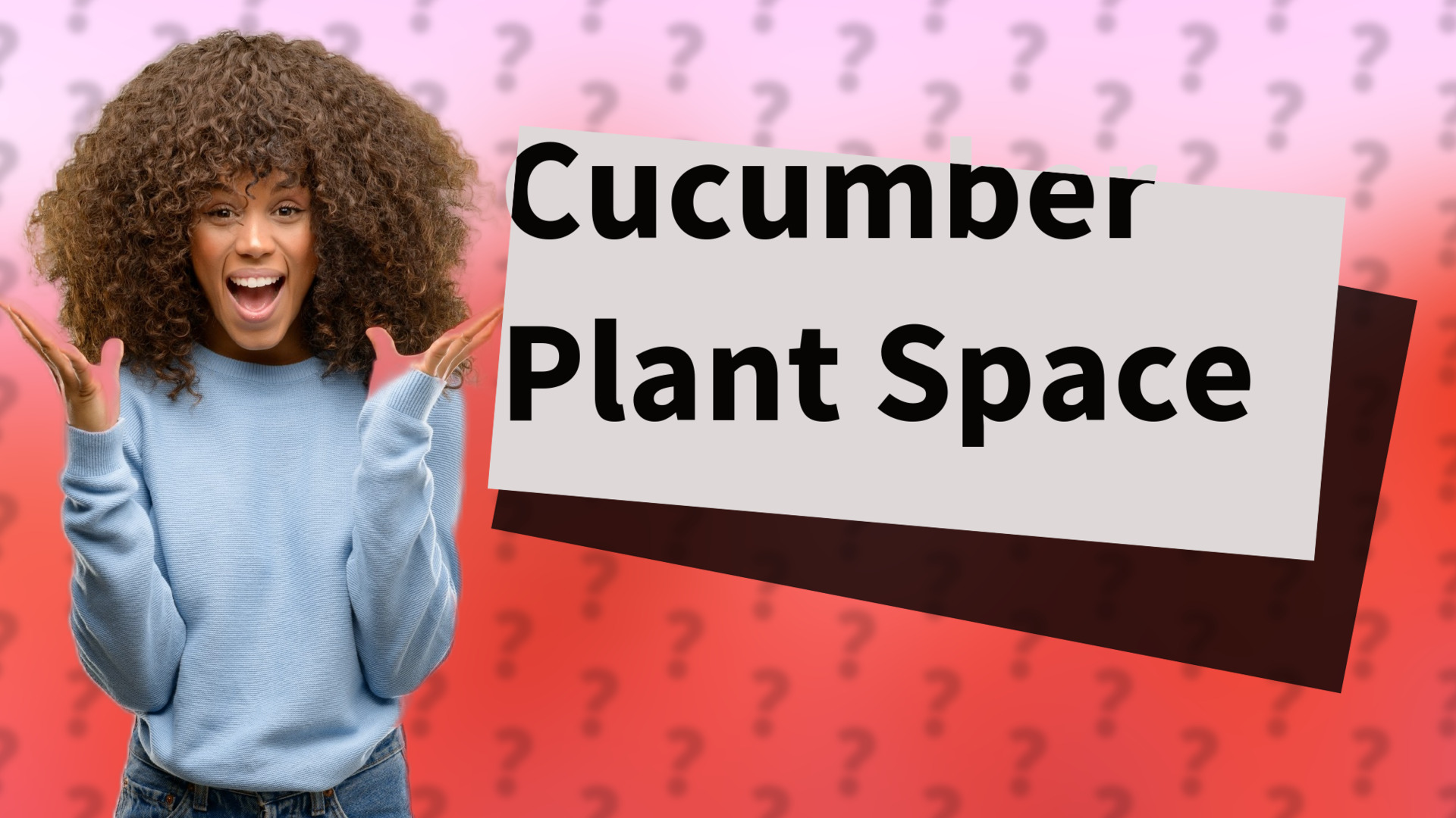 Cucumber Plant Space