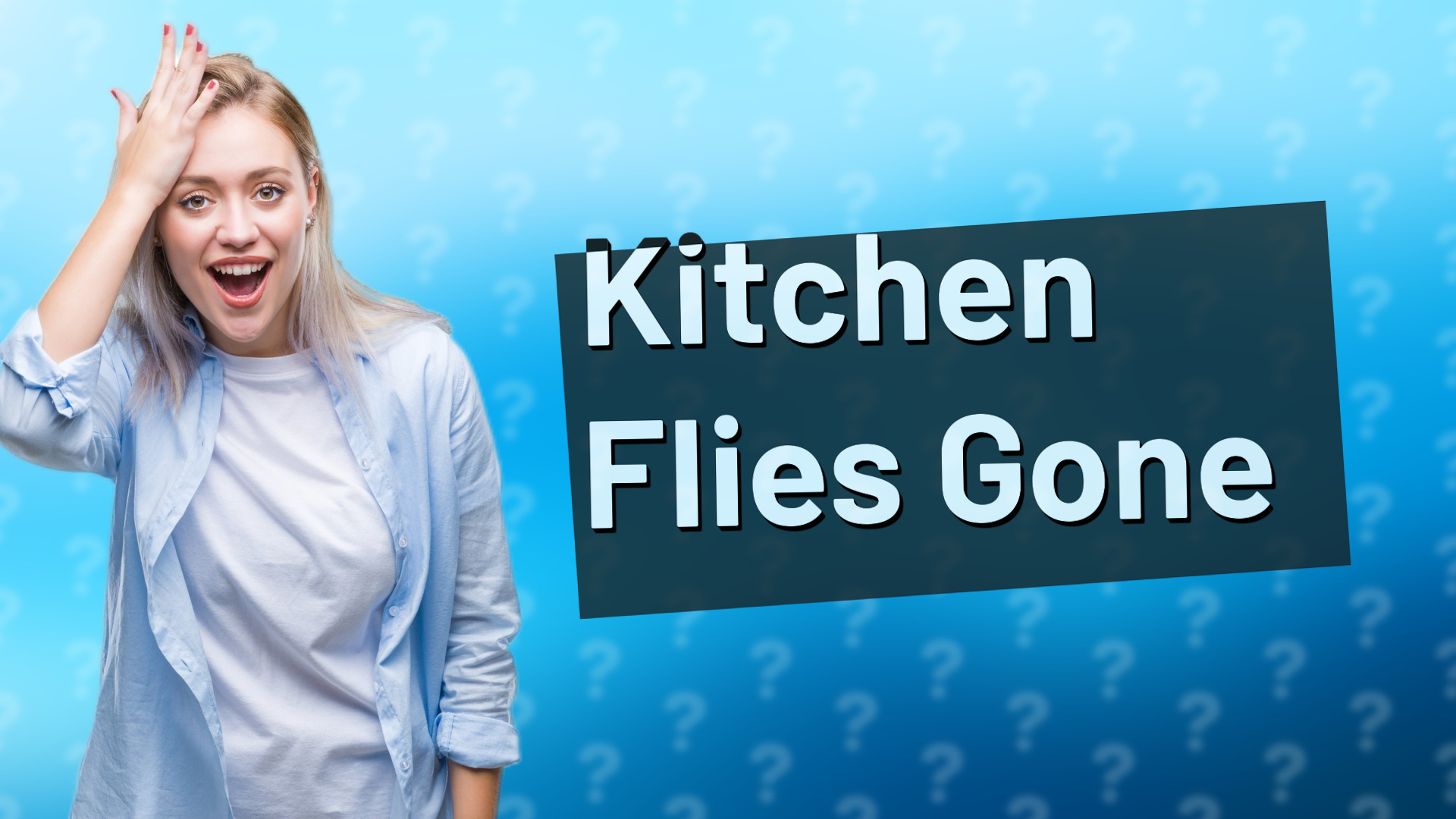 Kitchen Flies Gone