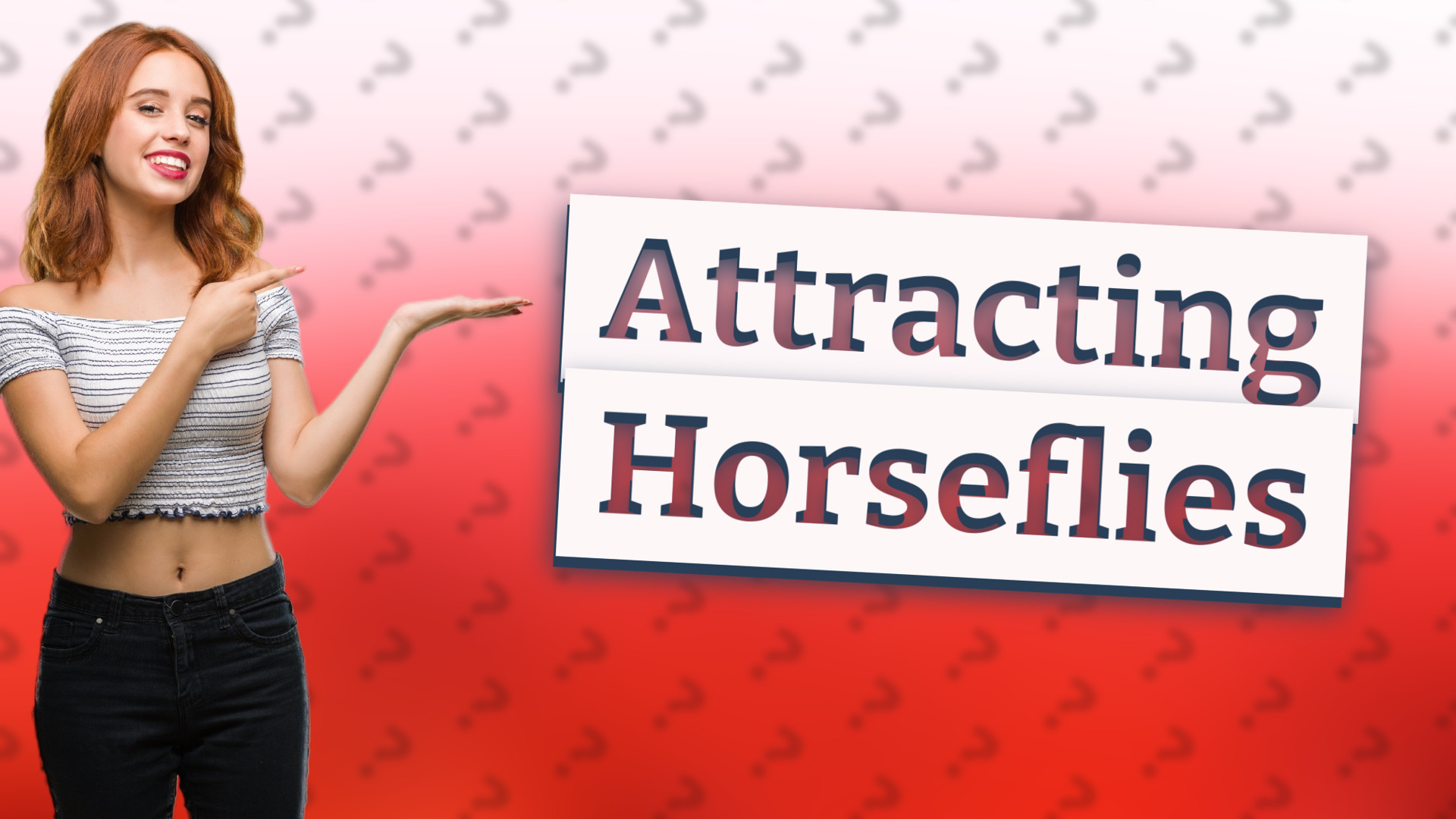 Attracting Horseflies