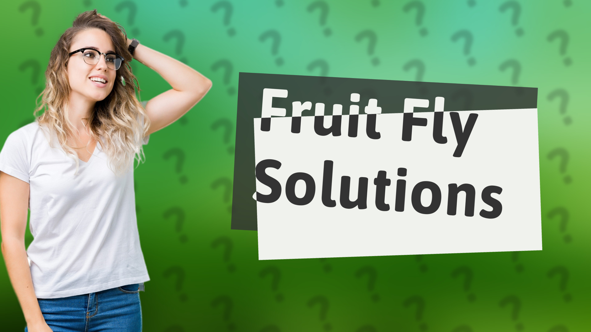 Fruit Fly Solutions