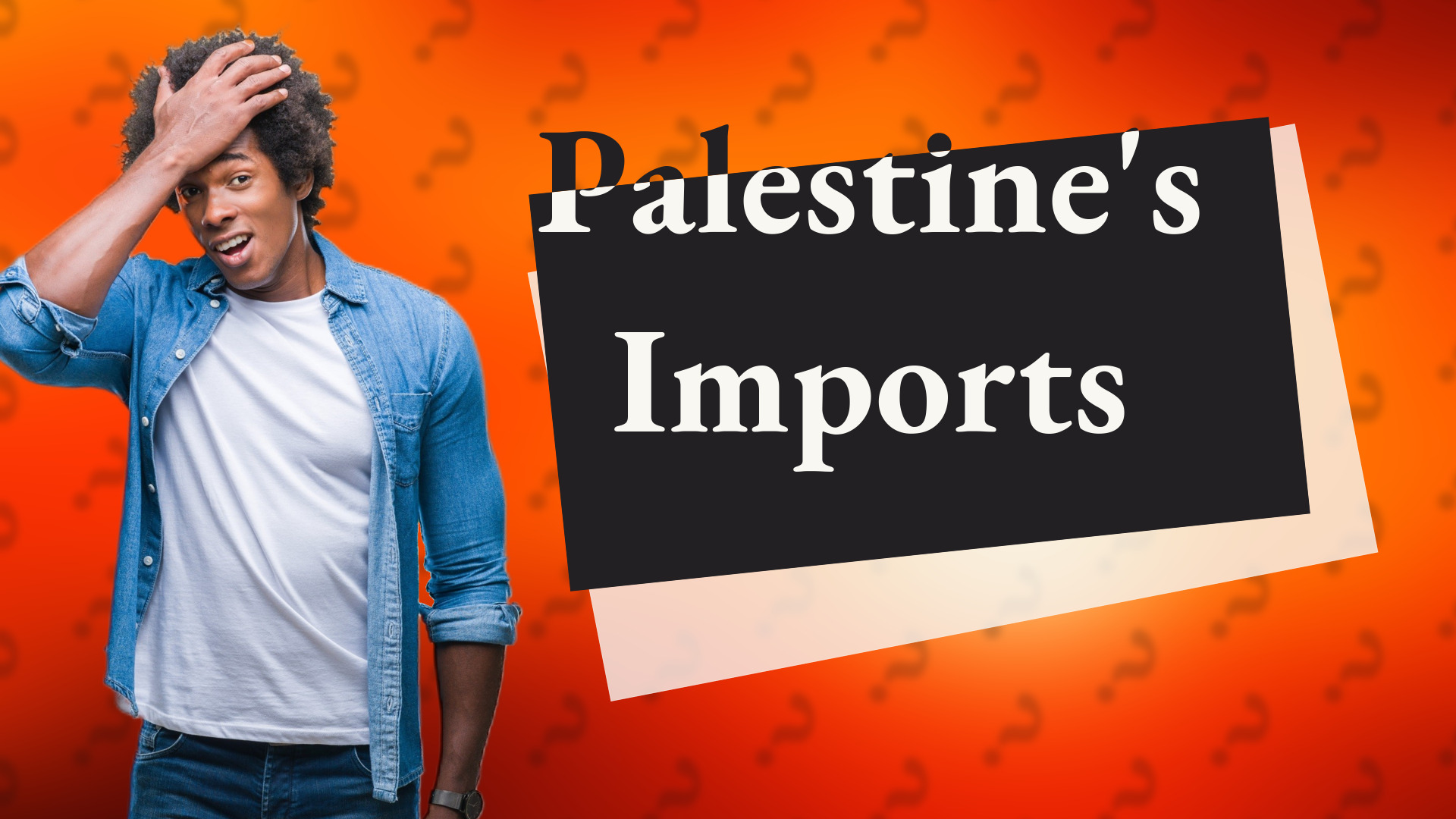 Palestine's Imports