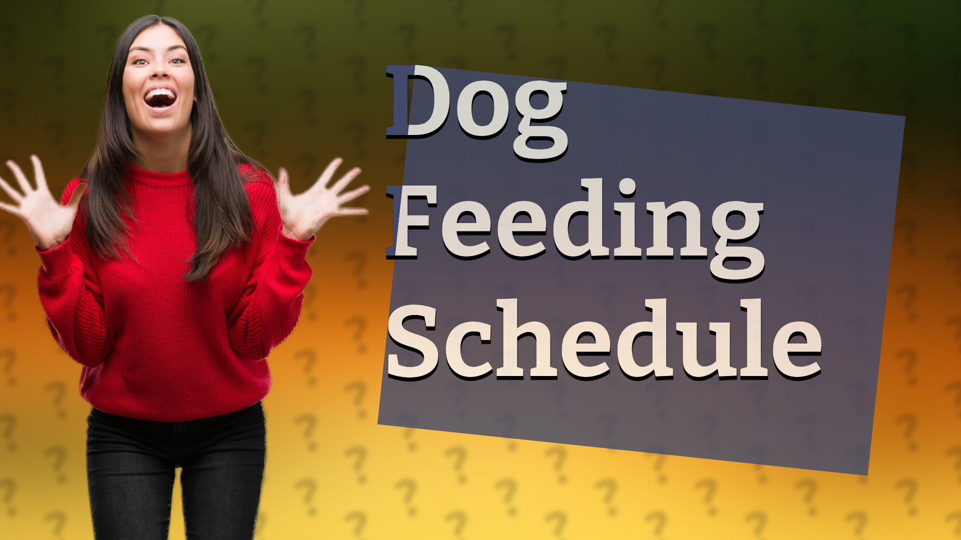 Dog Feeding Schedule