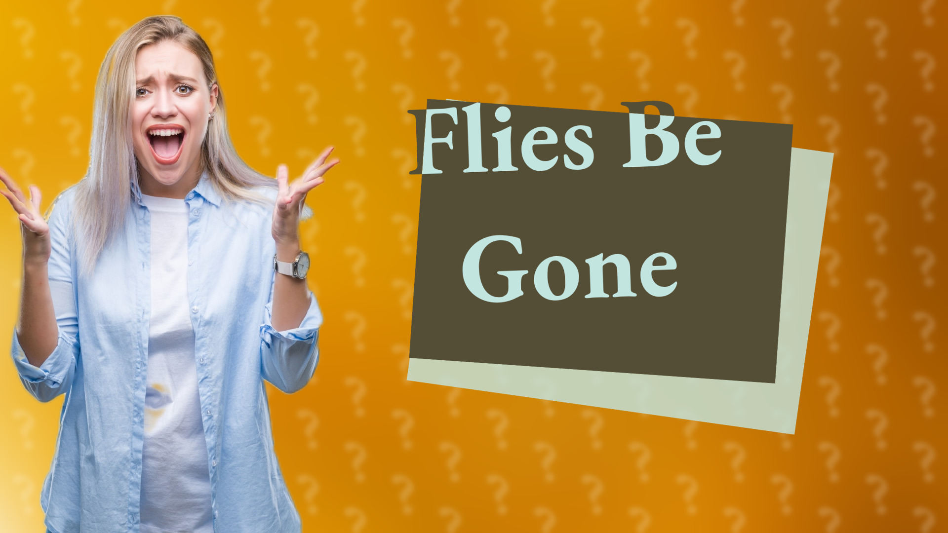 Flies Be Gone