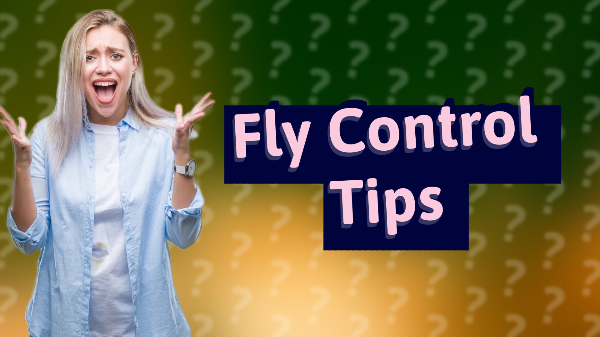 Fly Control Tips