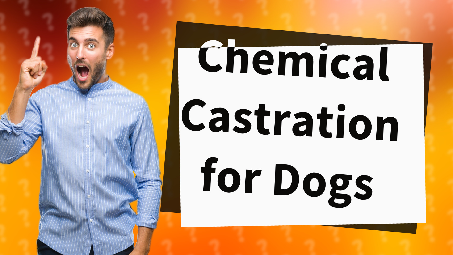 Chemical Castration for Dogs