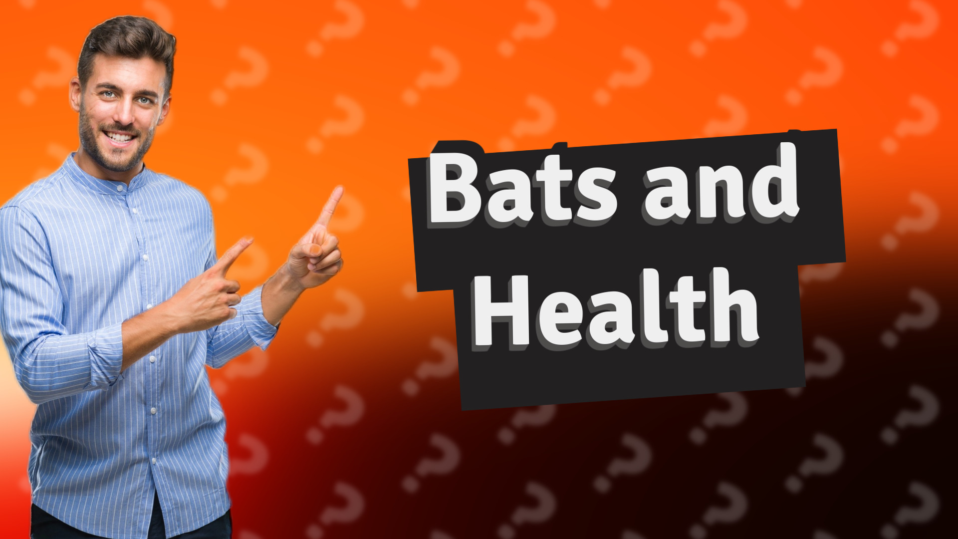 Bats and Health
