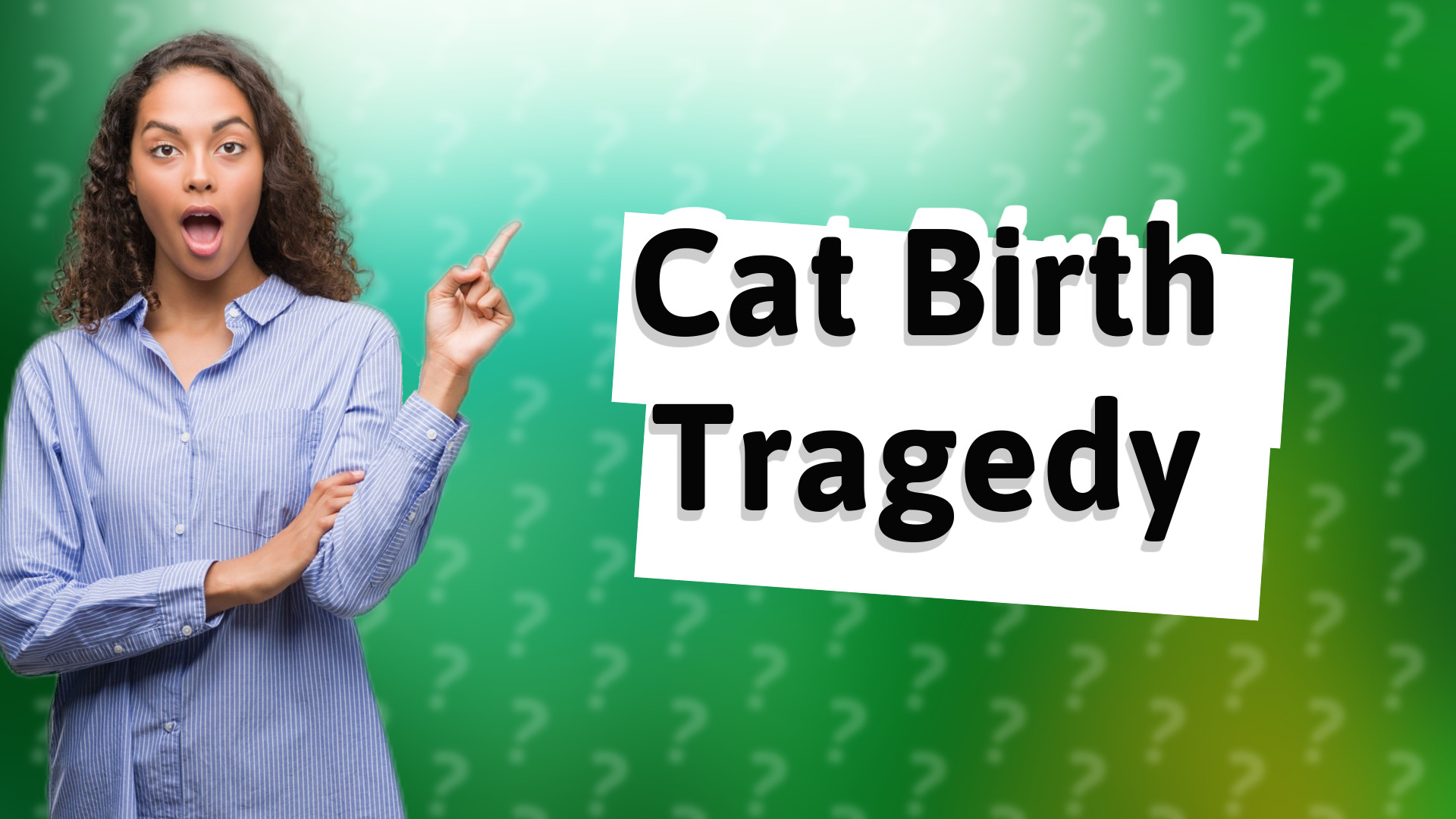 Cat Birth Tragedy