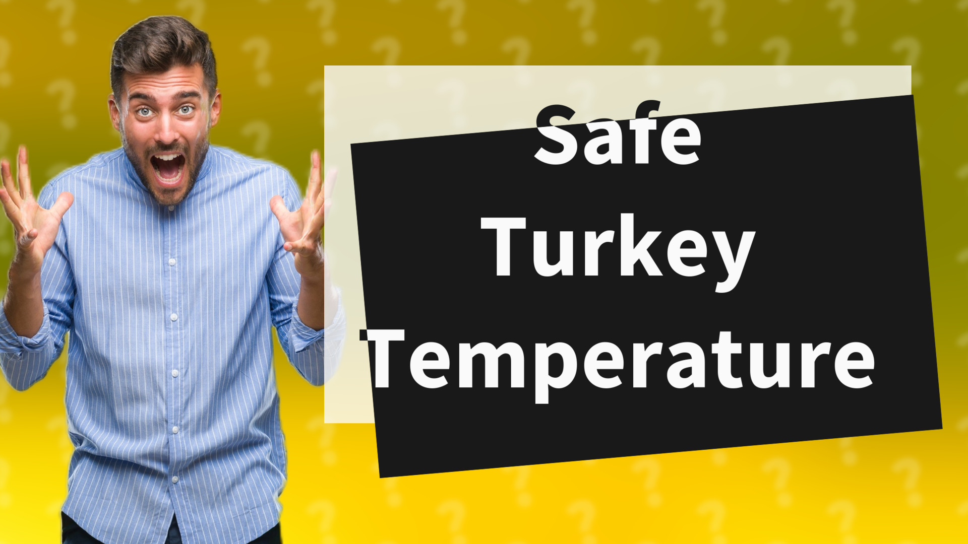 Safe Turkey Temperature