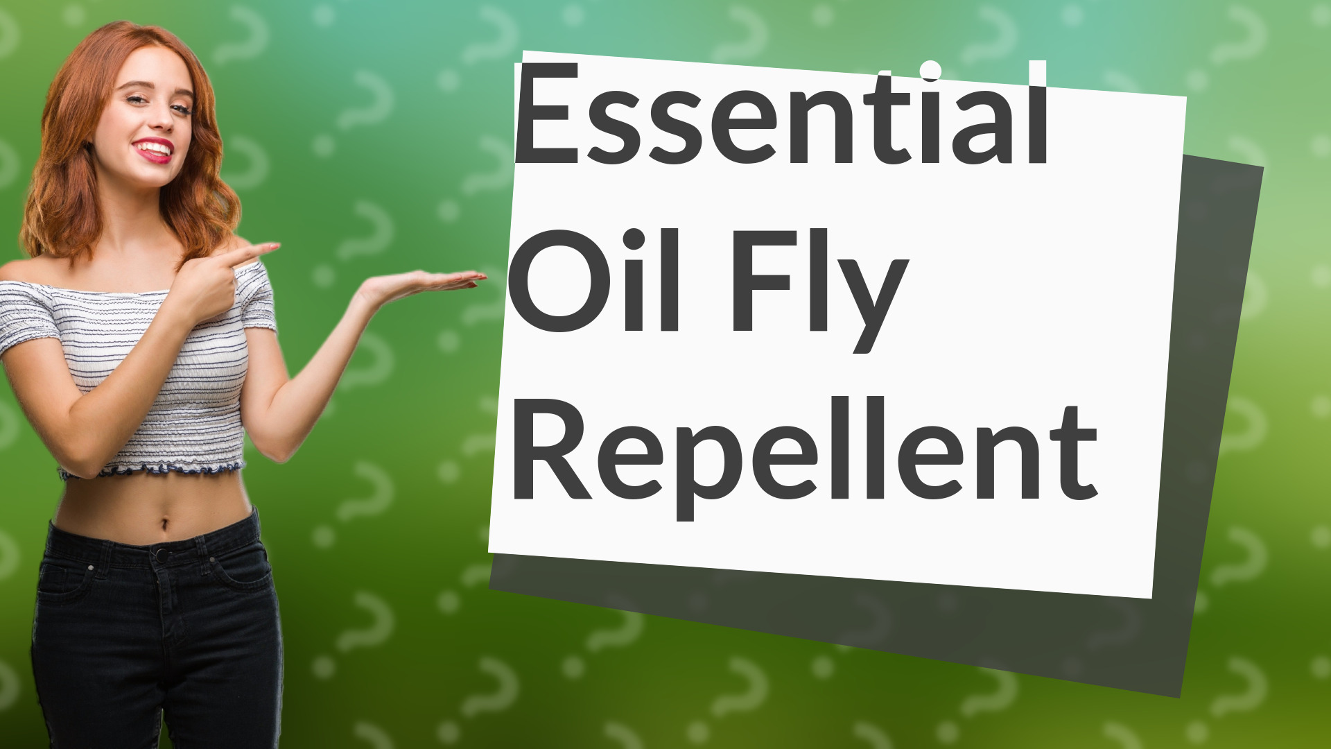 Essential Oil Fly Repellent