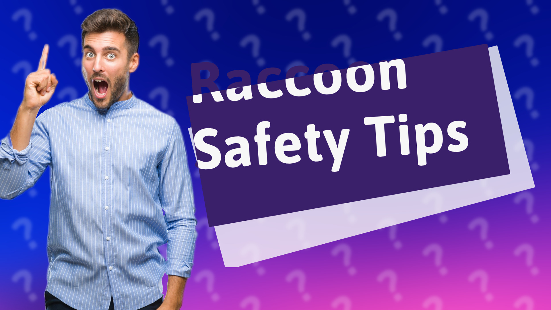 Raccoon Safety Tips