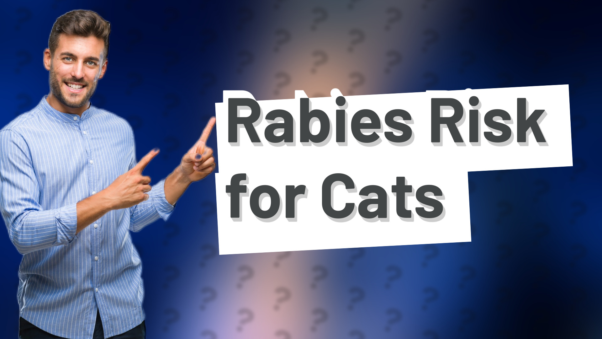 Rabies Risk for Cats