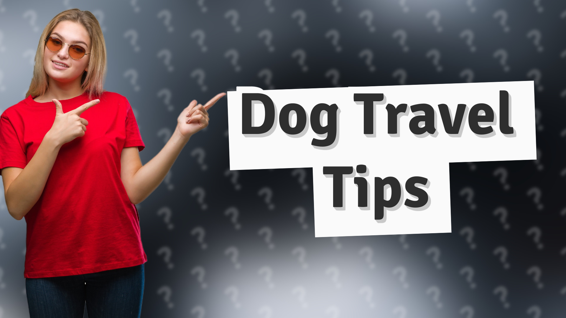 Dog Travel Tips