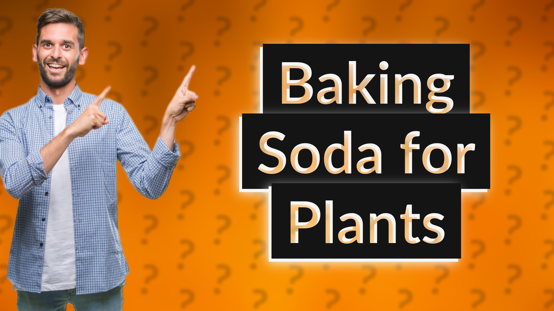 Baking Soda for Plants